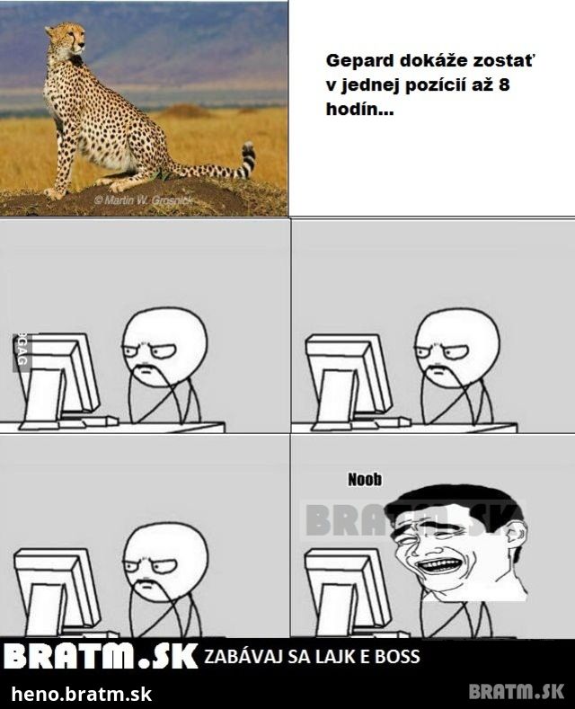čo dokáže gepard ? :D