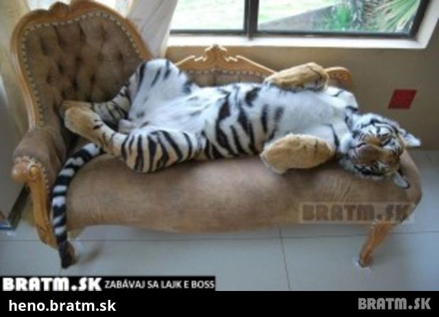 Taký rozkošný tigrík :)))