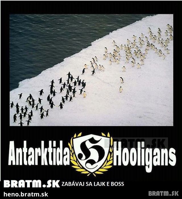 Antarktída HOOLIGANS :D