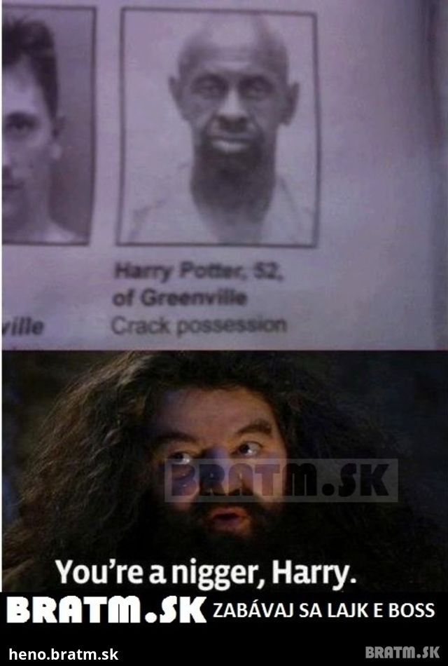 Šokujúce odhalenie :D Harry Potter je čierny :D