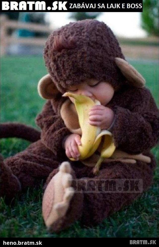 Komu sa páči táto rozkošná opička ? :)