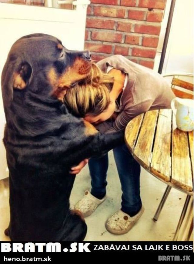Pes-najlepší priateľ človeka = LIKE ! :)