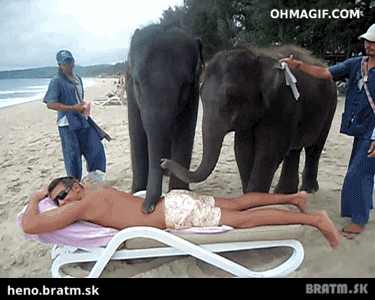 BRATM GIF: Slonia masáž na pláži :D