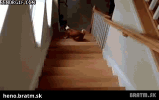 BRATM GIF: Zaujímavý spôsob, ako ísť po schodoch :D
