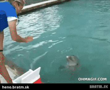BRATM GIF: Šikovný delfín a jeho trik :D