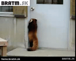 BRATM GIF: Preboha, pomôžte mu niekto otvoriť tie dvere :D
