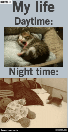 BRATM GIF: Náš víkendový život počas dňa a počas noci :D