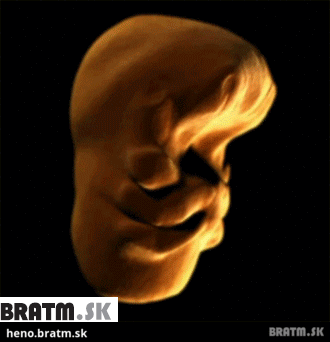 BRATM GIF: Ľudská tvár, vývoj v maternici 1.-3. mesiac :)