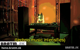 BRATM GIF: Ako by vyzerala psia techno party :D