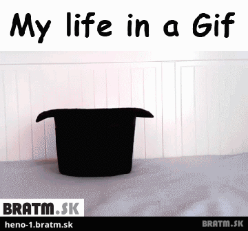 BRATM GIF: My life in a GIF :D