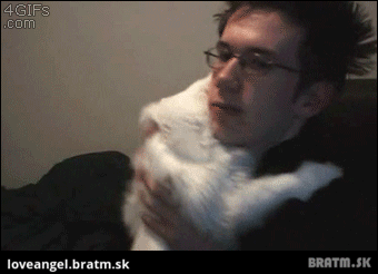 BRATM GIF: Krásne :) mačka si pýta objatie :)