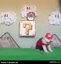 BRATM GIF: Roztomilé! Hra Mario vo svete zvierat :D