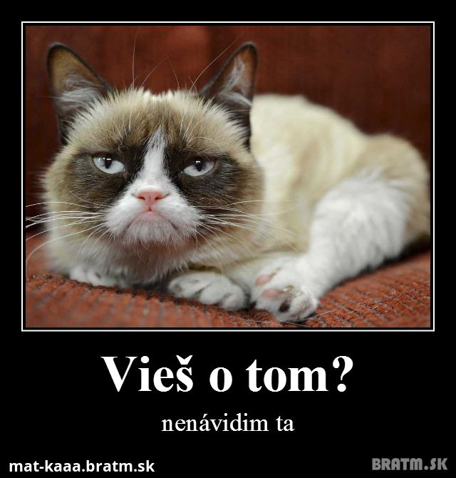 grumpy cat!! :D
