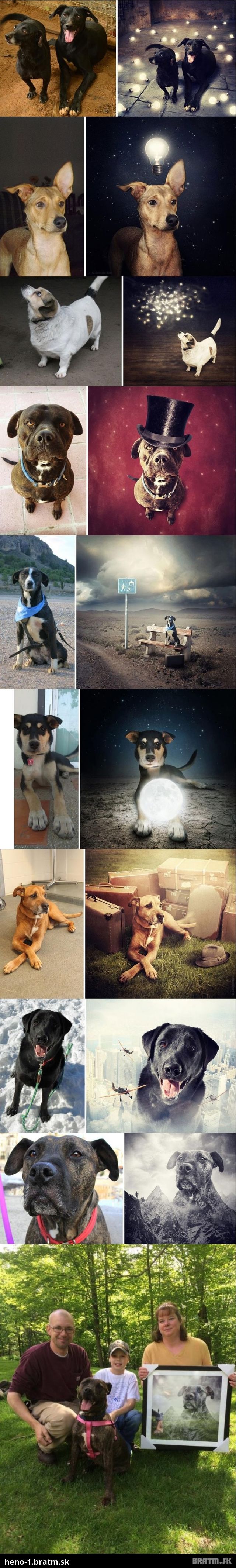 Fotograf vytvoril takéto krásne fotomontáže psíkov na adopciu :)