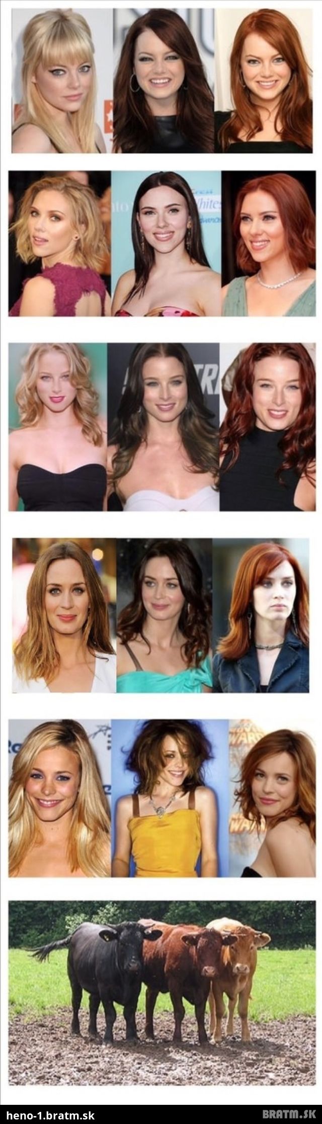 Ženy a ich častá zmena farby vlasov :D :D :D