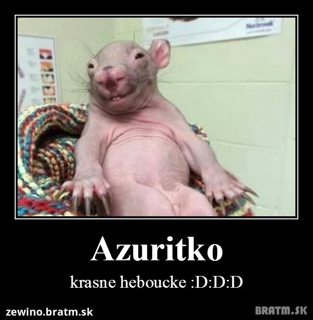 Azuritko