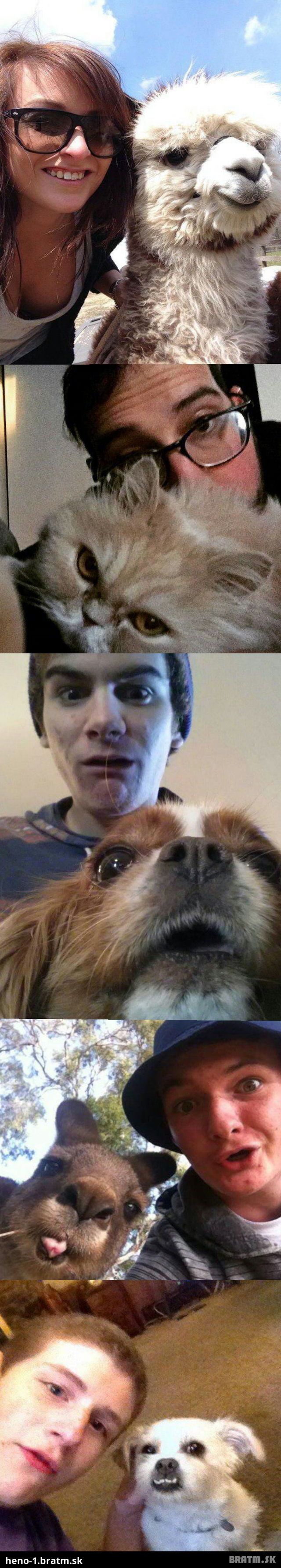(5 foto) Top zvieracie selfie, ktore sa dostali na net! :) Cast 4