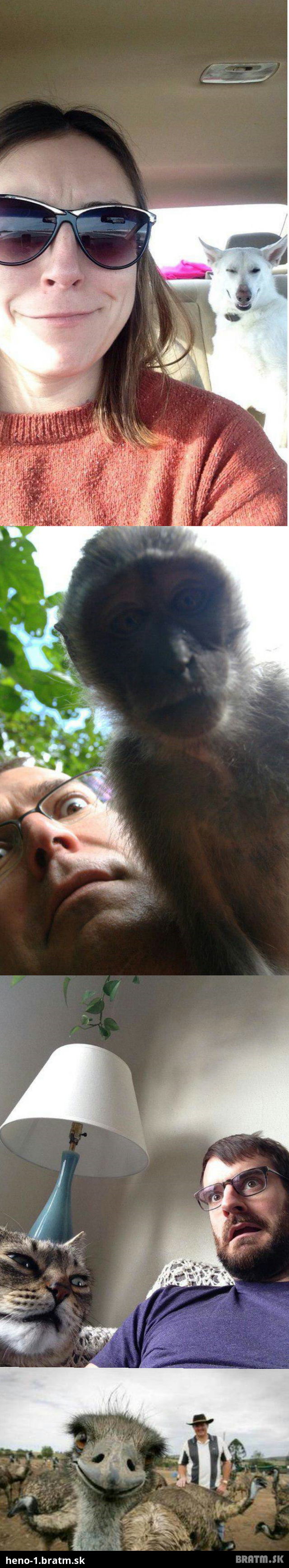 (4 foto) Top zvieracie selfie, ktore sa dostali na net! :) Cast 6