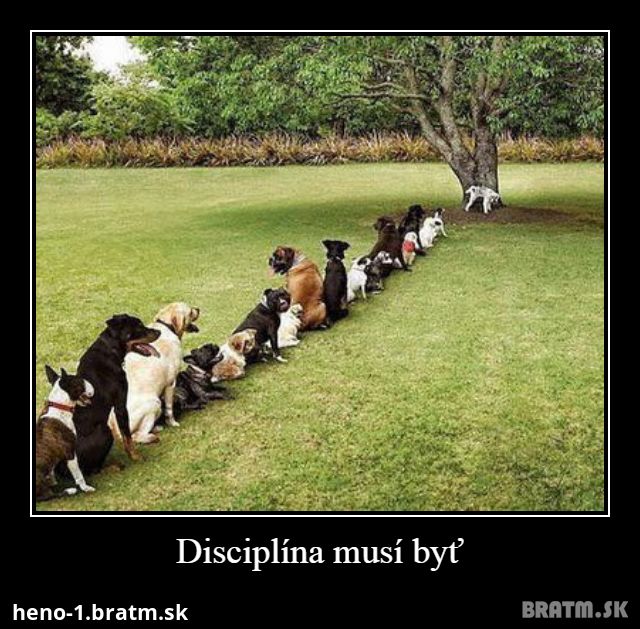 Disciplína musí byť :)