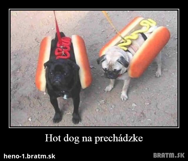 Hot dog na prechádzke :D :) :D