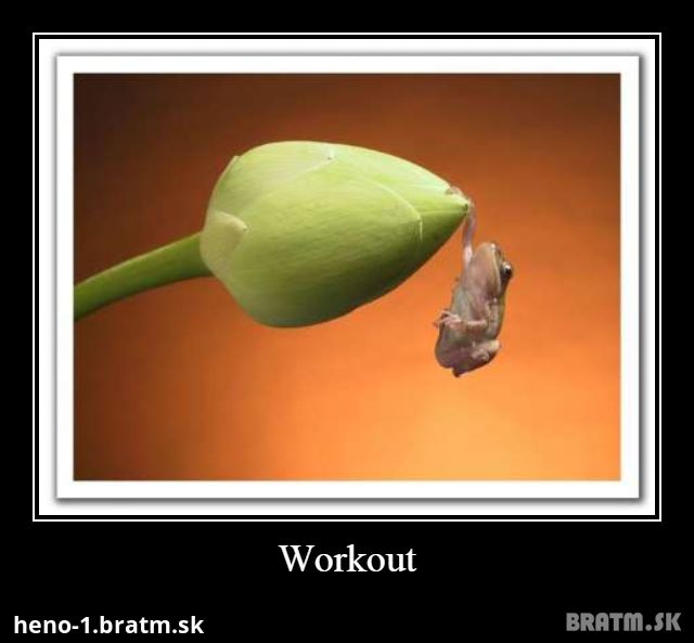 Workout :D