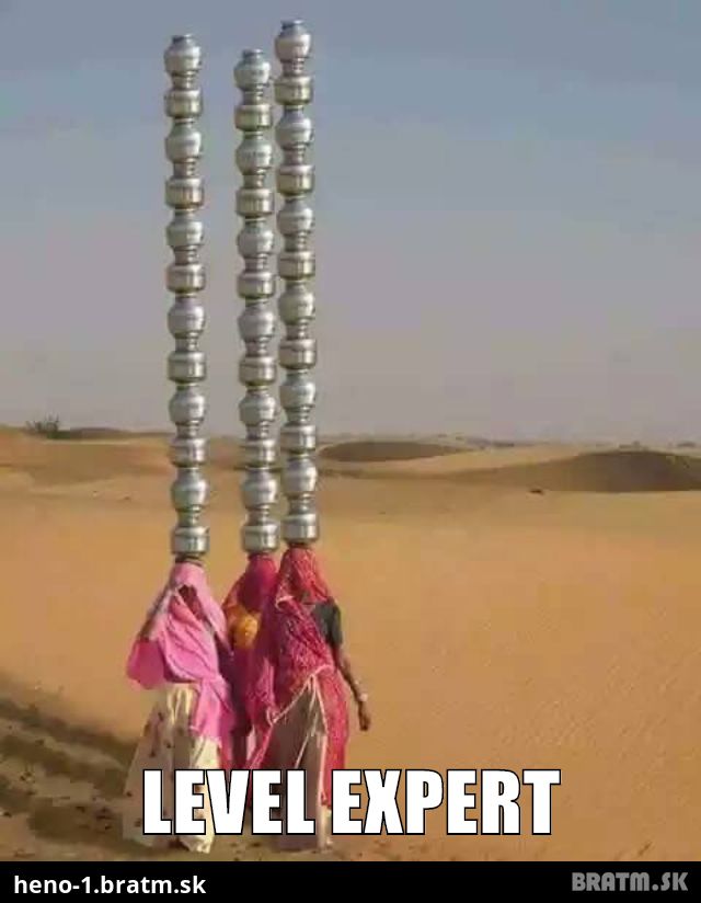 Level expert