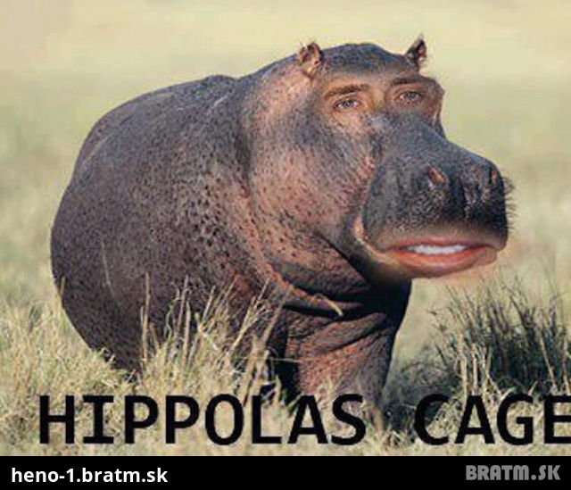 Hippolas cage :D