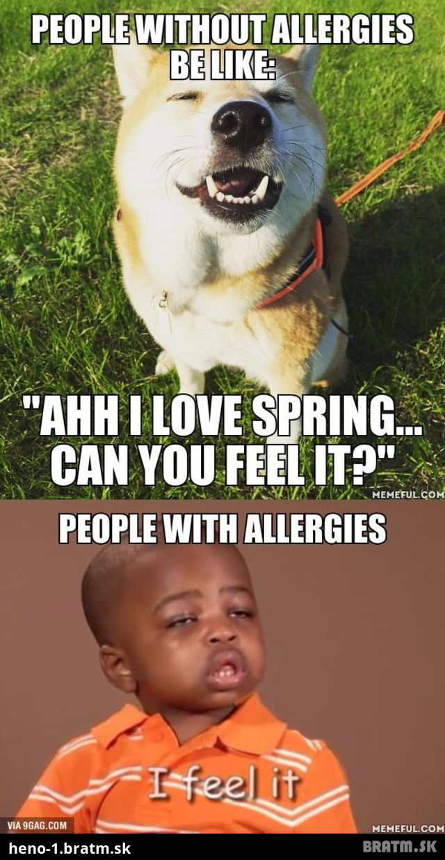 Alergia ... trpite alergiou teraz aj vy? :D