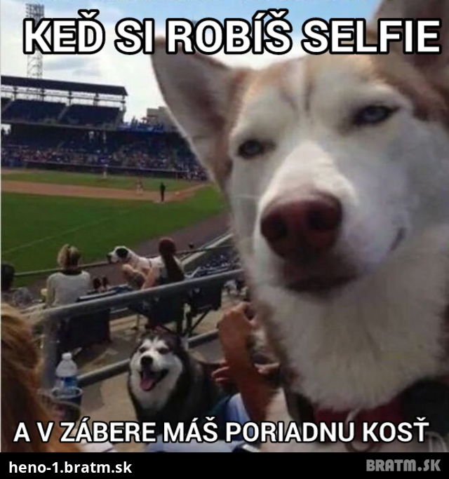 Selfie zo života zvierat :D