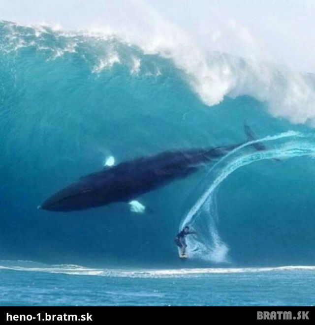 Wau! Unikátna foto surfera!