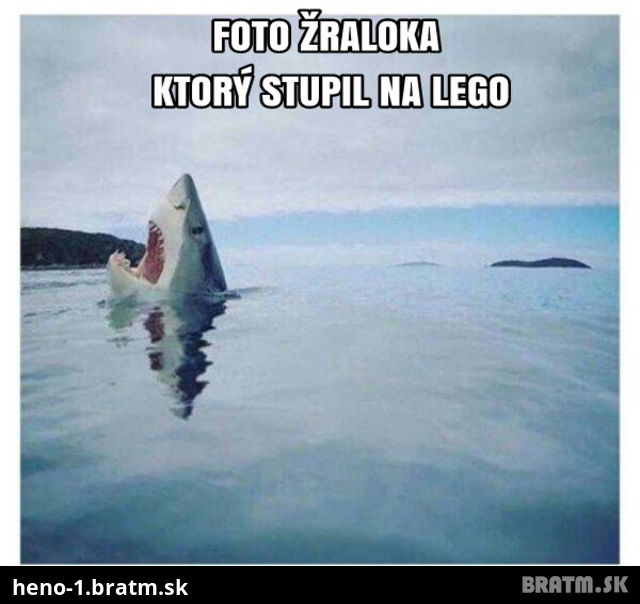 Fotka žraloka, ktorý stupil na lego :D