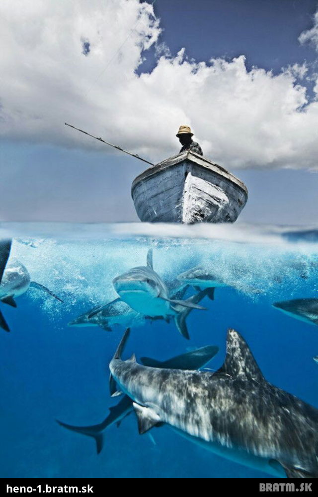 Unikátna foto, sen každého rybára?:D