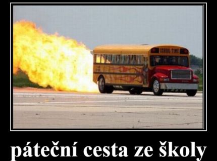 buss