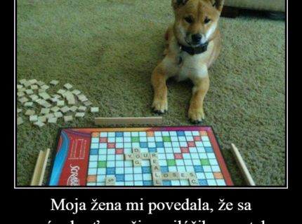 Takto sa hrám s mojim psíkom :D :D :D