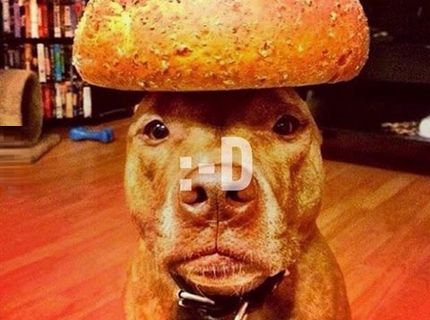Ahááááá, poznáte ho???? :DDDDDD