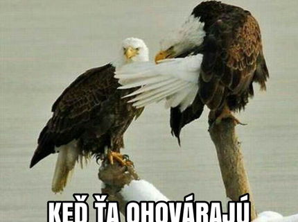 Ten pocit, keď ta ohovárajú:D