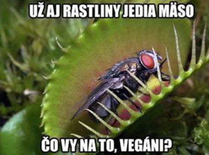 Vegáni, čo hovoríte na toto???