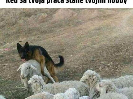 Ked ta práca naozaj baví :D