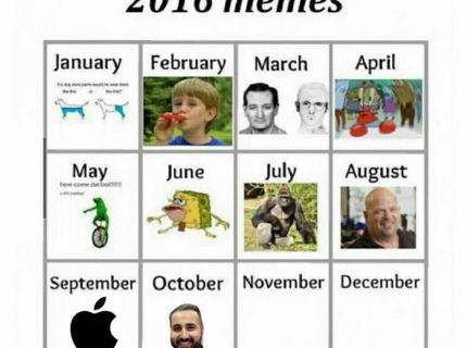 Meme roku 2016