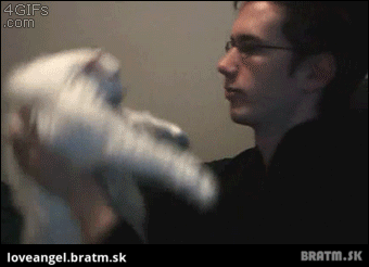 BRATM GIF: Krásne :) mačka si pýta objatie :)