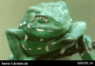 Narcis žaba  :O :)