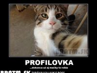 Už aj mačky majú svoje profilovky :D