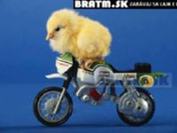Rozkošnééé kuriatko na motorke :) kto si spomína z detstva na tieto modely ?=)