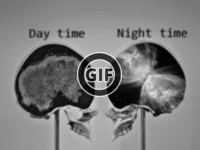 BRATM GIF: Vedci objasnili, čo sa deje s nami keď nemôžeme zaspať:D