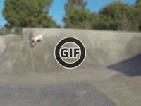 BRATM GIF: Pes skateboardista :D