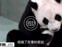 BRATM GIF: Panda a jej mláďa :)
