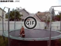 BRATM GIF: Podarené... nadšený psík na trampolíne :)