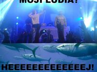LOL! Kontrafakt vs. tuniaky :D