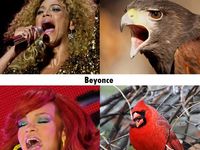Celebrity, ktoré nám pripomínajú rôznych vtákov :D Celkom to sedí. nie? :D