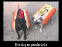 Hot dog na prechádzke :D :) :D